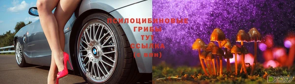 прущие крисы Дмитров
