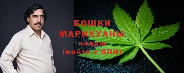 ECSTASY Дмитровск