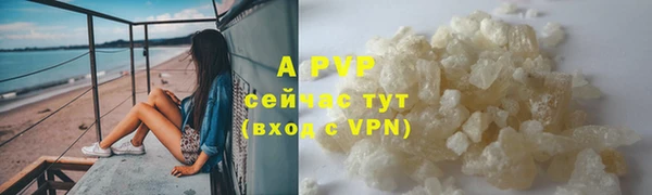 PSILOCYBIN Гусев
