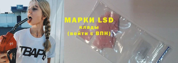 PSILOCYBIN Гусев