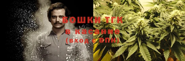 прущие крисы Дмитров